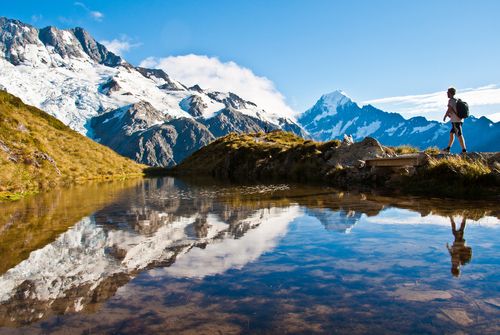 New Zealand Back Pack