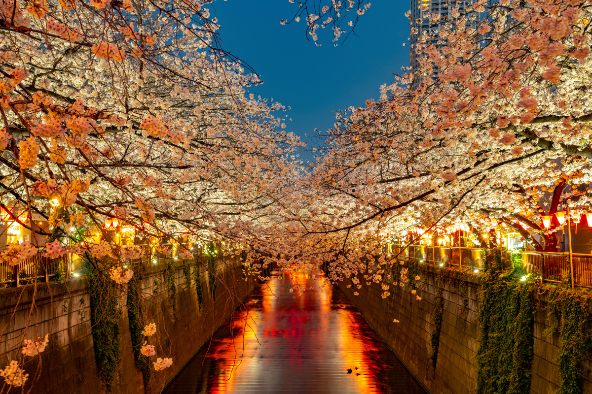 traveling through Japan on a working holiday visa