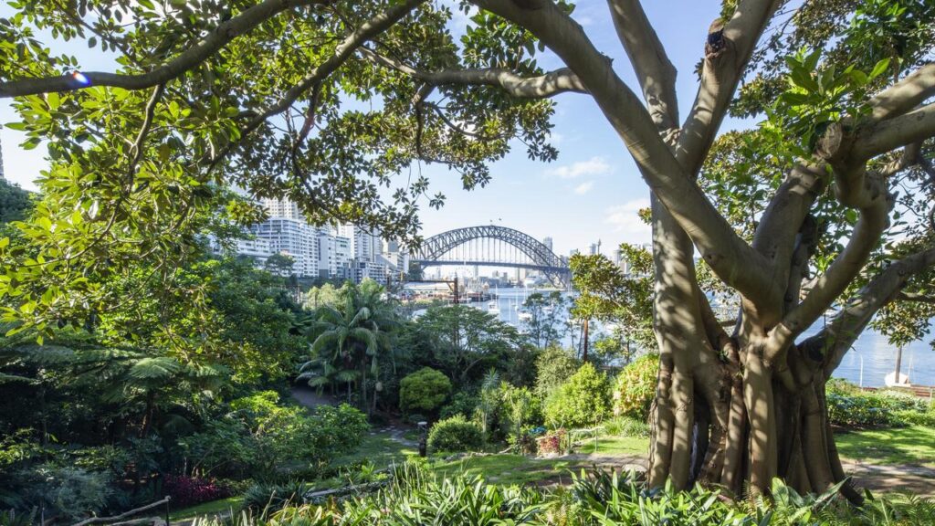 5 places you must visit in sydney: wendy's secret garden