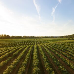 Agricultural