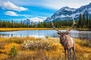 5 amazing and unexpected experiences to have in Canada