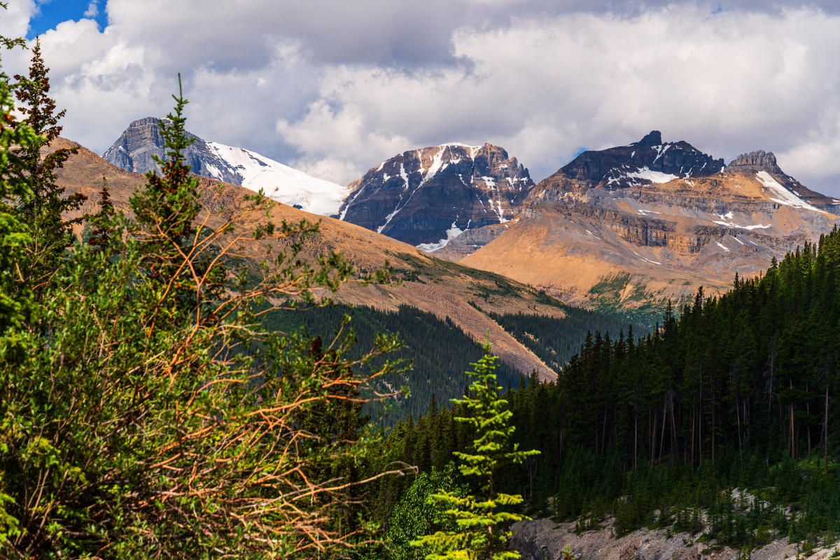 Lie In Canada With Kids: Jasper National Park