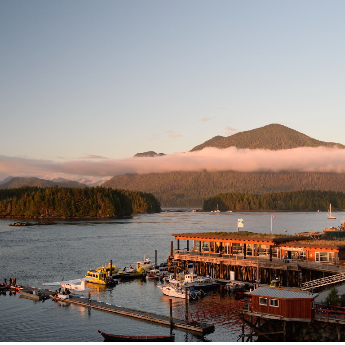 Explore the Wild Beauty of Tofino A 7-Day Adventure in British Columbia